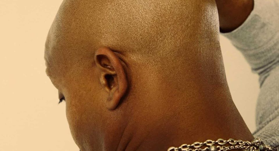 0 6 Best Bald Hea