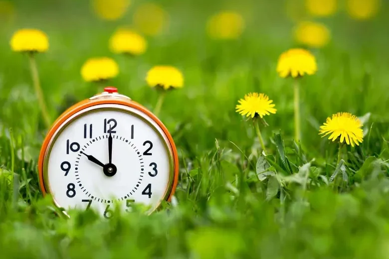 urnpublicidap.orgccc42f25de97faea97bc06799499dffaDaylight savings time