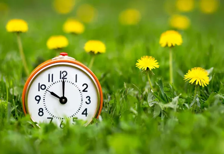 urnpublicidap.orgccc42f25de97faea97bc06799499dffaDaylight savings time